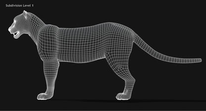 Snow Leopard 3D Model Animated
