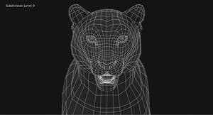 Snow Leopard 3D Model Head Close Up Wireframe view Subdivision Level 0 Thumbnail