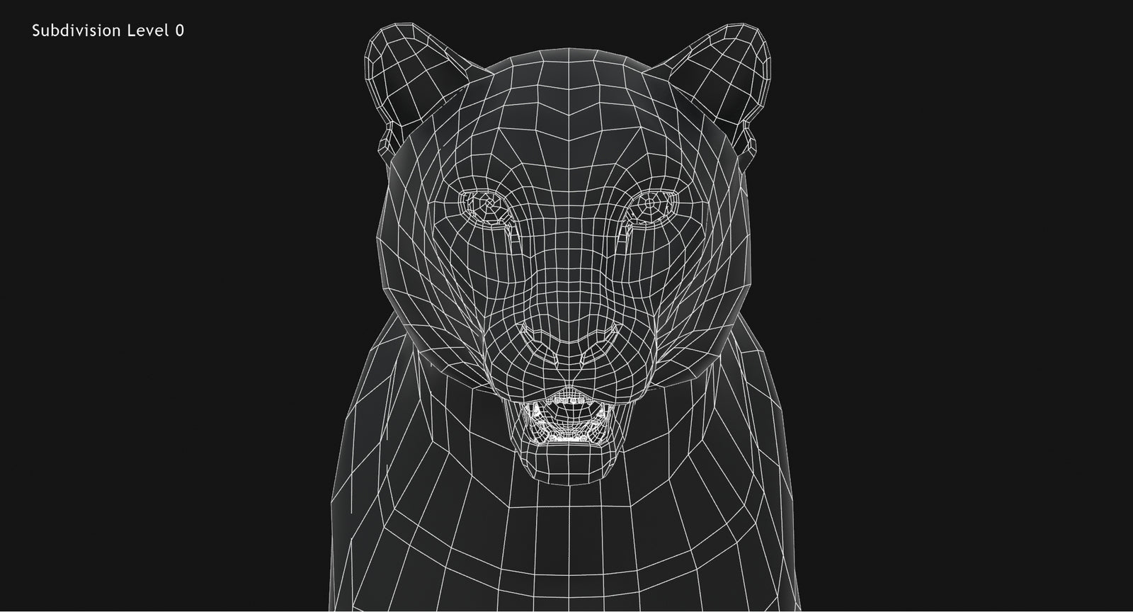 Snow Leopard 3D Model Head Close Up Wireframe view Subdivision Level 0