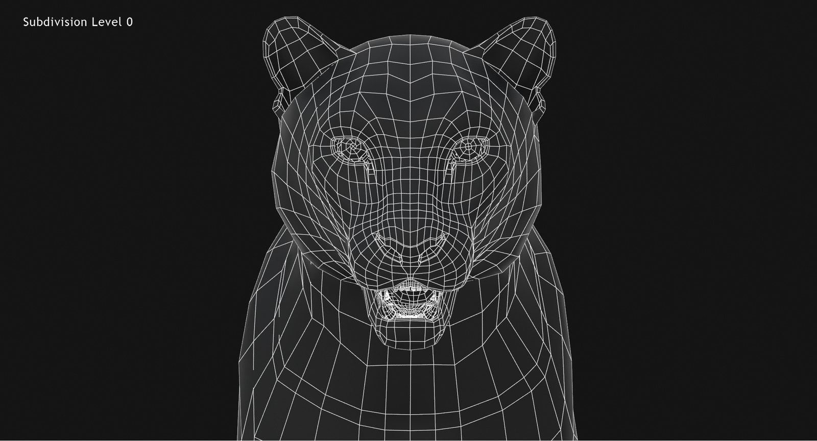 Snow Leopard 3D Model Head Close Up Wireframe view Subdivision Level 0