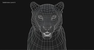 Snow Leopard 3D Model Head Close Up Wireframe view Subdivision Level 0 Thumbnail