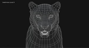 Snow Leopard 3D Model Head Close Up Wireframe view Subdivision Level 0 Thumbnail