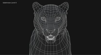 Snow Leopard 3D Model Animated