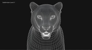 Snow Leopard 3D Model Head Close Up Wireframe view Subdivision Level 1 Thumbnail
