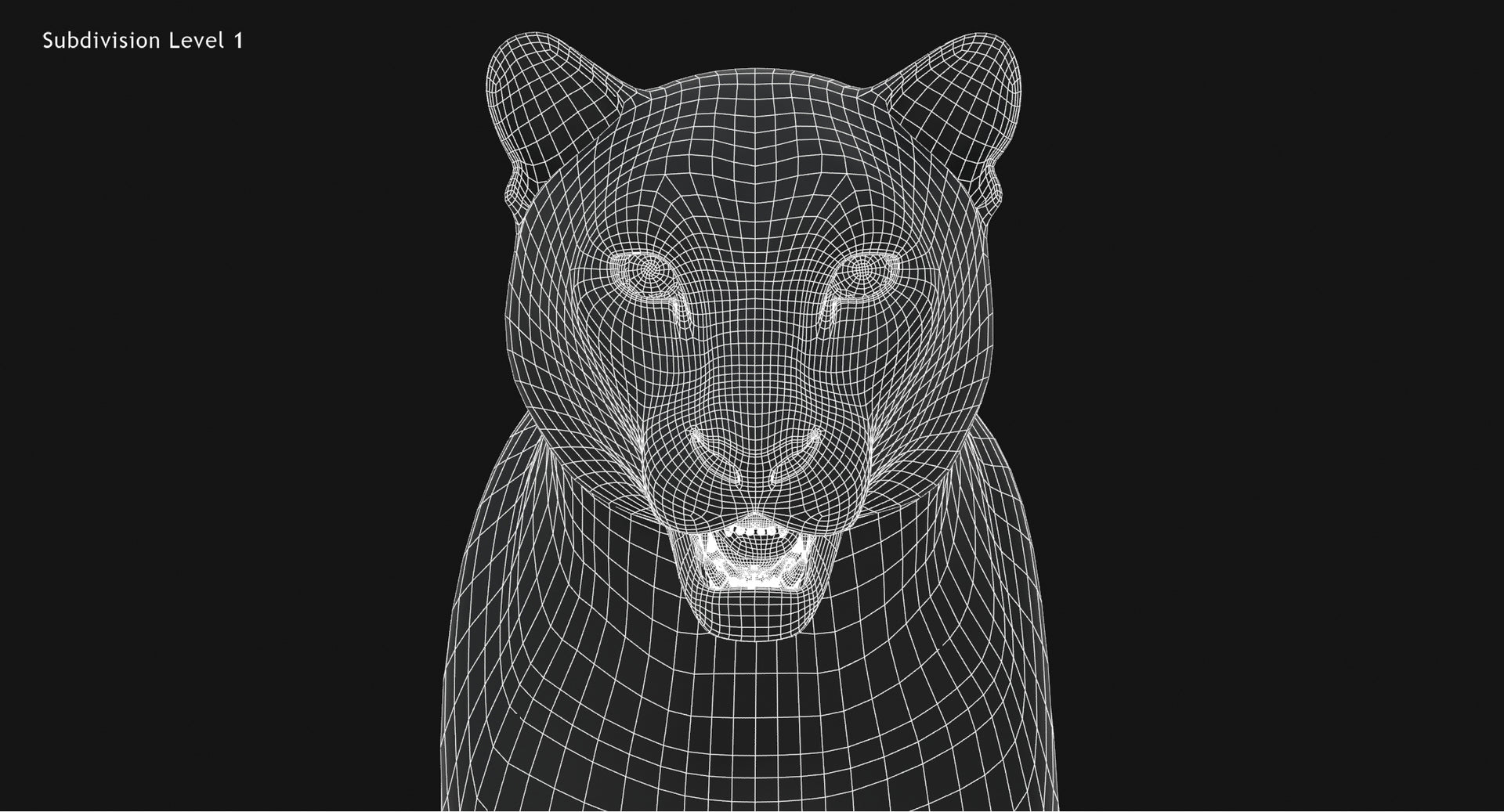 Snow Leopard 3D Model Head Close Up Wireframe view Subdivision Level 1