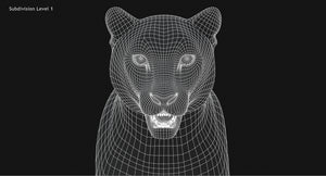 Snow Leopard 3D Model Head Close Up Wireframe view Subdivision Level 1 Thumbnail