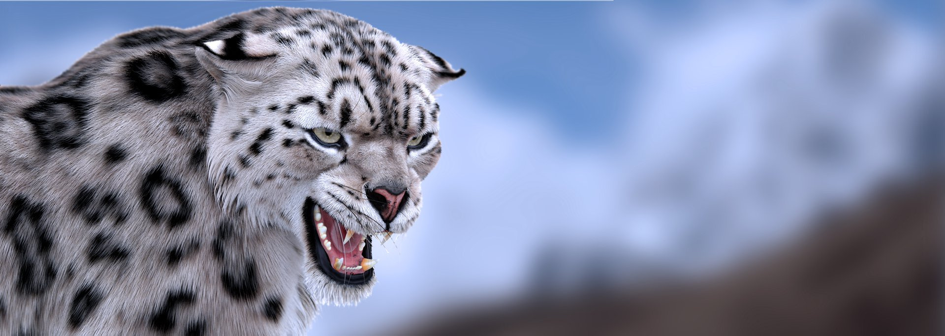 Animated Snow Leopard 3D Model