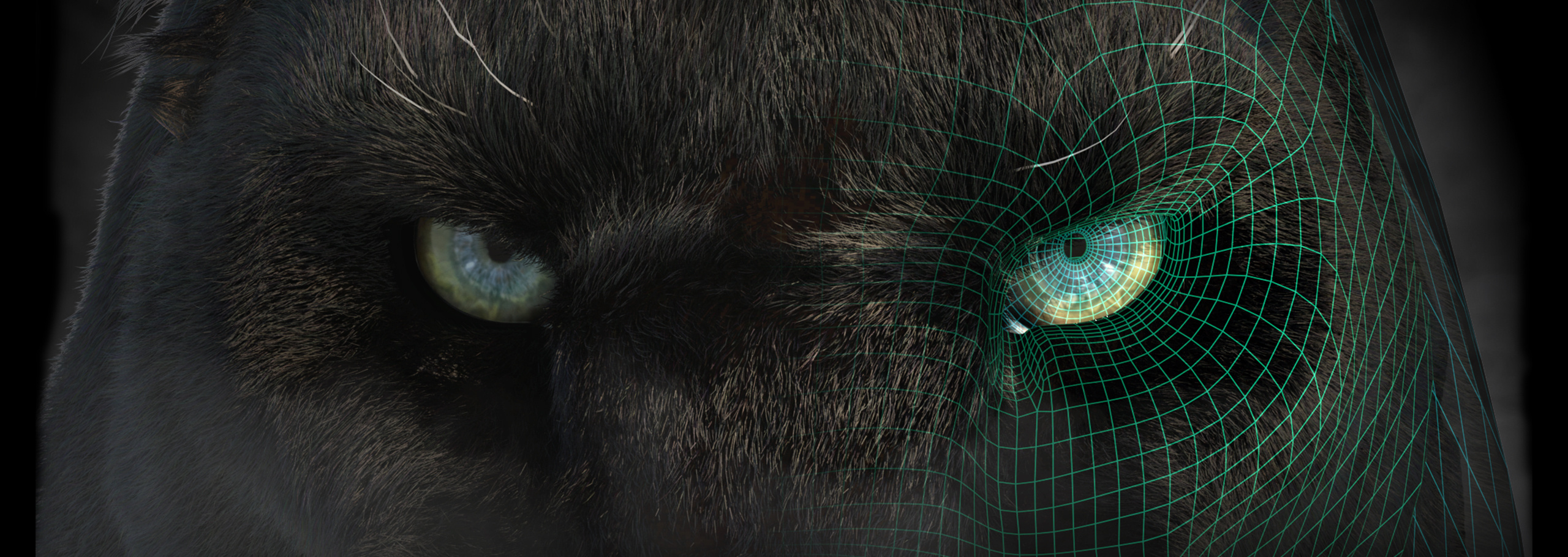 Animated Black Panther Animal 3D Model with Fur