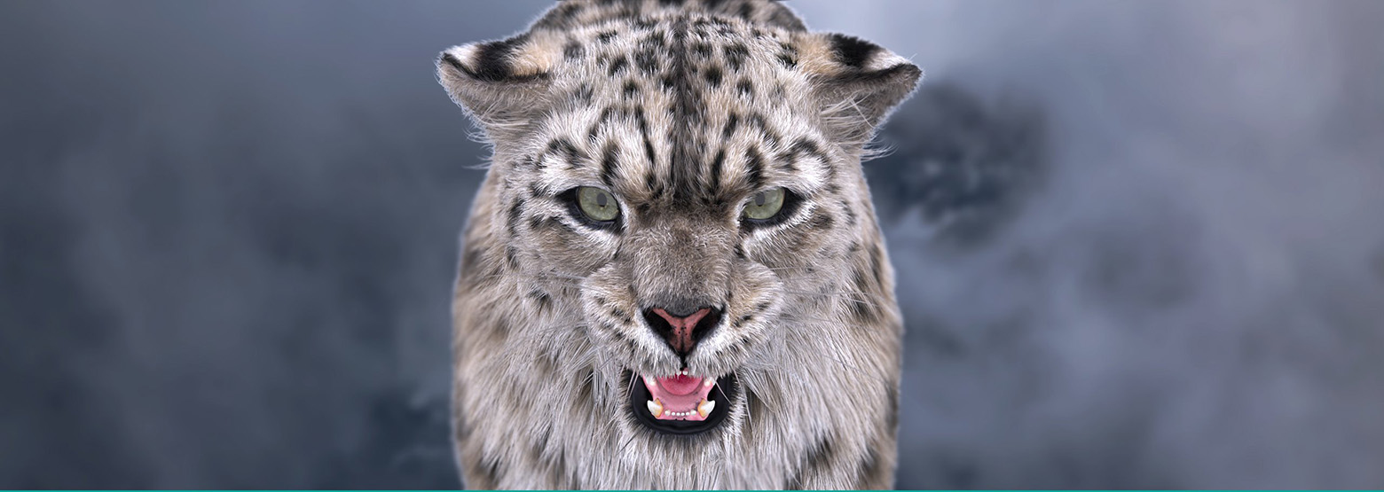 Animated Snow Leopard 3D Model with Fur